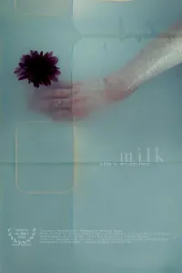 Affiche de Milk