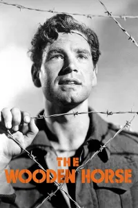 Affiche de The Wooden Horse