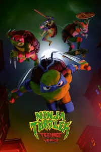 Affiche de Ninja Turtles : Teenage Years