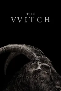 Affiche de The Witch