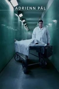 Affiche de Adrienn Pàl