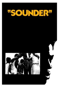 Affiche de Sounder