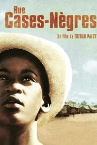 Affiche de Rue cases-nègres