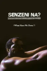 Affiche de Senzeni Na?