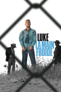 Affiche de Luke la main froide