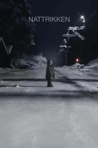 Affiche de Nattrikken