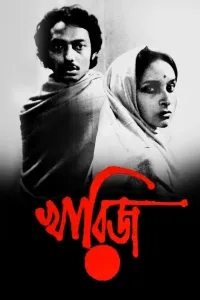 Affiche de Affaire Classée