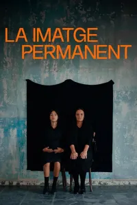 Affiche de La imatge permanent