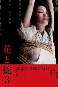 Affiche de Flower & Snake 3