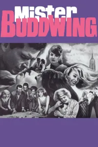 Affiche de Mister Buddwing