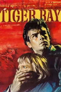 Affiche de Les Yeux du témoin