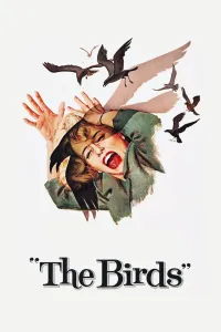 Affiche de Les Oiseaux