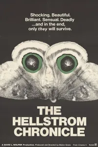 Affiche de Des insectes et des hommes