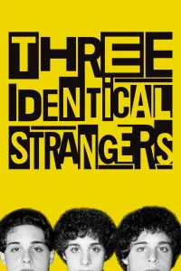 Affiche de Trois étrangers identiques