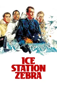Affiche de Destination : Zebra, station polaire