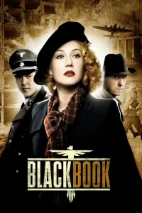 Affiche de Black Book
