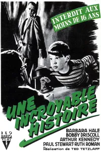Affiche de Une Incroyable histoire