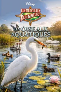 Affiche de Les Oiseaux Aquatiques