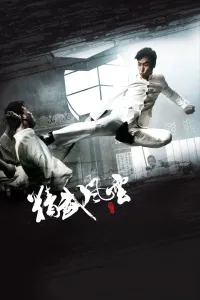Affiche de Legend of the Fist : The Return of Chen Zhen