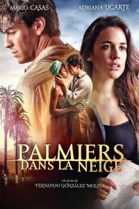 Affiche de Palmiers dans la neige