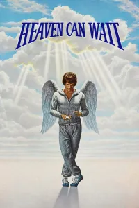 Affiche de Le ciel peut attendre
