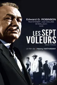Affiche de Les Sept Voleurs