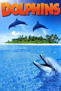 Affiche de IMAX Nature - Le Dauphin