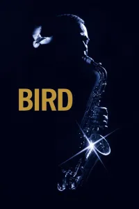 Affiche de Bird