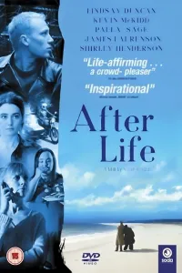 Affiche de AfterLife