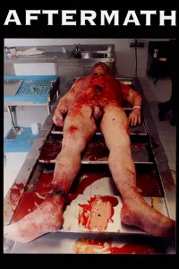 Affiche de Aftermath