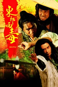 Affiche de Les Cendres du temps