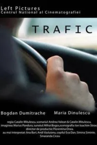 Affiche de Trafic