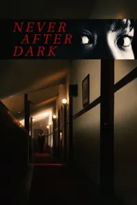 Affiche de Never After Dark