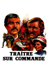 Affiche de Traître sur commande