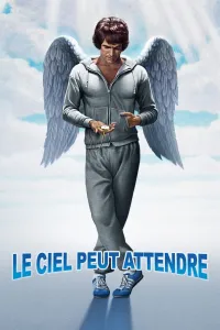Affiche de Le ciel peut attendre