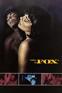 Affiche de The Fox