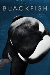Affiche de Blackfish