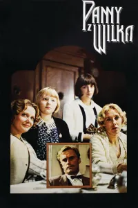 Affiche de Les demoiselles de Wilko