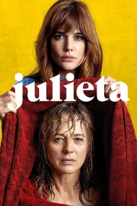Affiche de Julieta