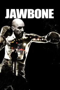 Affiche de Jawbone
