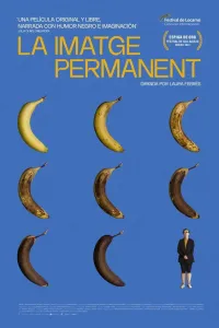 Affiche de La imatge permanent