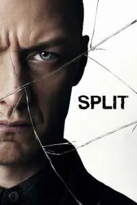Affiche de Split