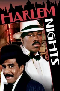 Affiche de Les Nuits de Harlem