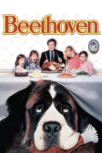 Affiche de Beethoven