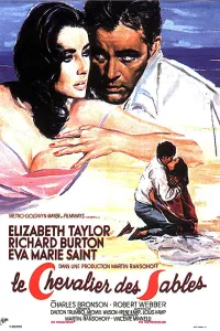 Affiche de Le Chevalier des sables