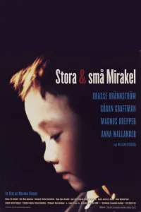 Affiche de Stora & små mirakel