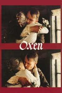 Affiche de Oxen