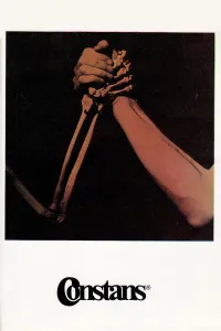 Affiche de La constante