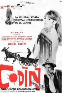 Affiche de Codin
