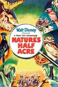 Affiche de La Terre, cette inconnue
